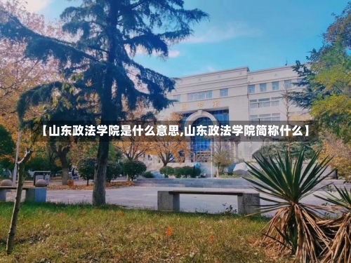 【山东政法学院是什么意思,山东政法学院简称什么】