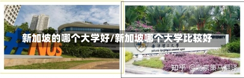 新加坡的哪个大学好/新加坡哪个大学比较好