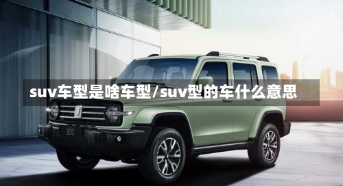 suv车型是啥车型/suv型的车什么意思