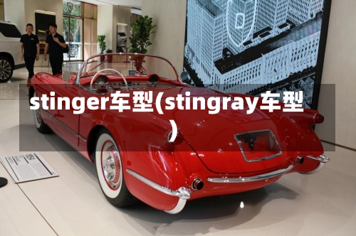 stinger车型(stingray车型)