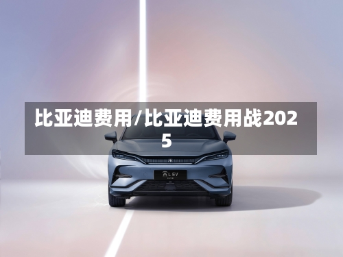 比亚迪费用/比亚迪费用战2025