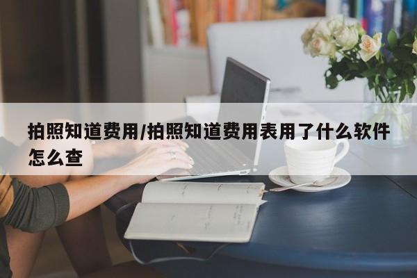 拍照知道费用/拍照知道费用表用了什么软件怎么查