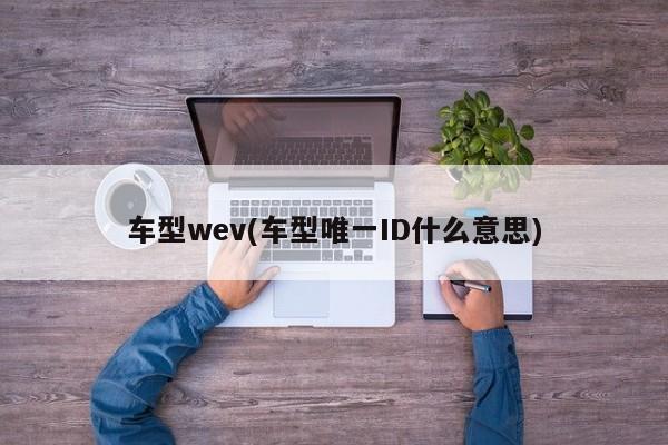 车型wev(车型唯一ID什么意思)