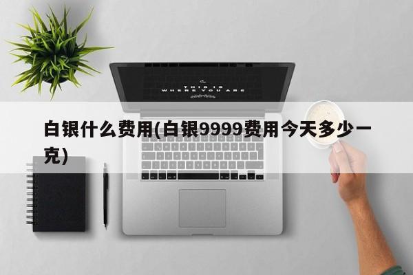 白银什么费用(白银9999费用今天多少一克)