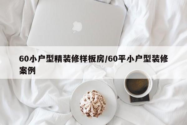 60小户型精装修样板房/60平小户型装修案例