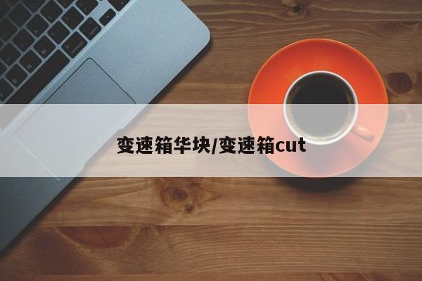 变速箱华块/变速箱cut