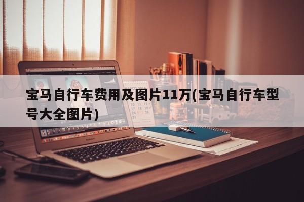 宝马自行车费用及图片11万(宝马自行车型号大全图片)