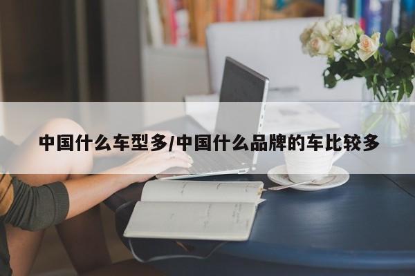 中国什么车型多/中国什么品牌的车比较多